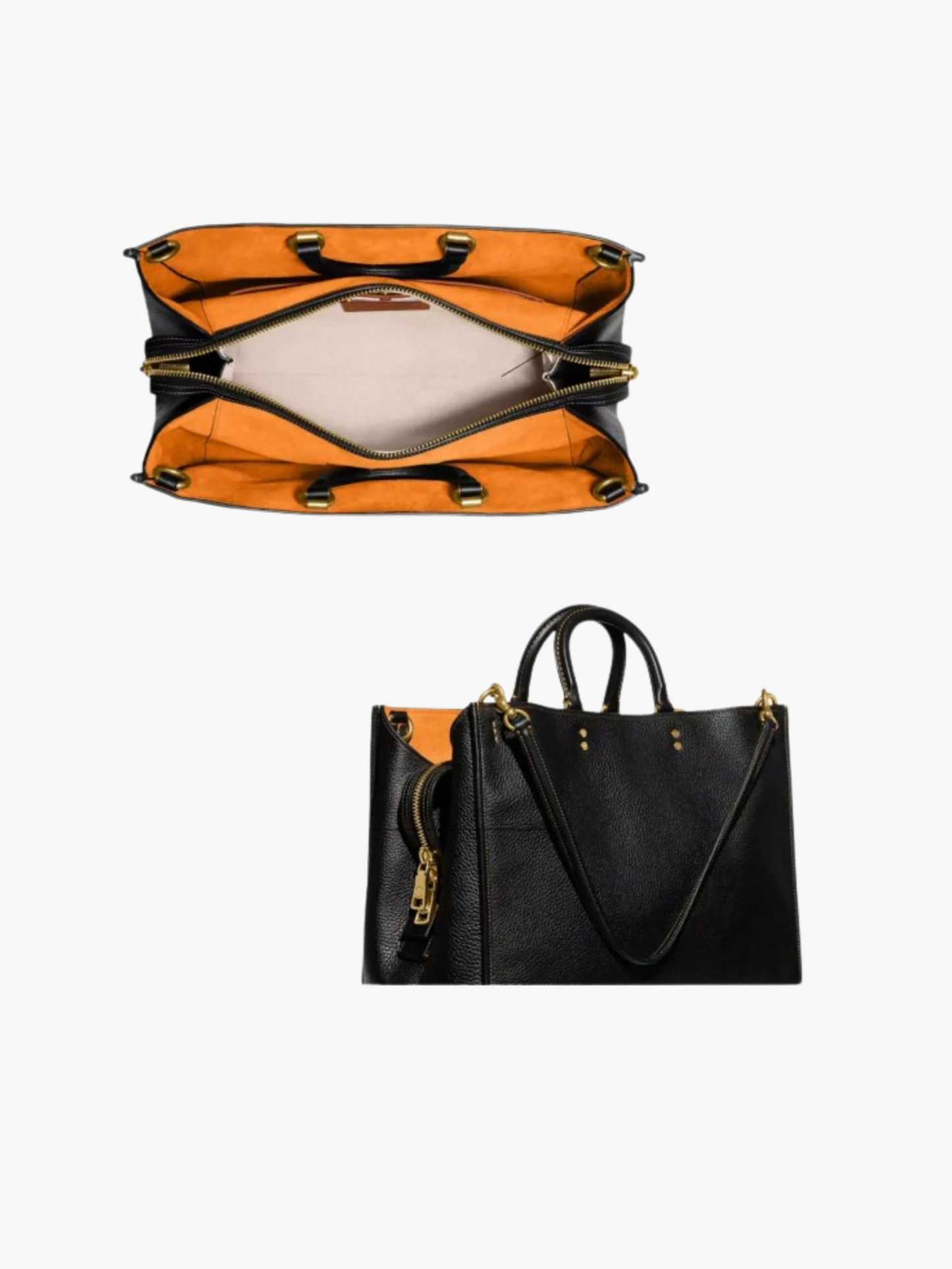 Urban Rogue Bag